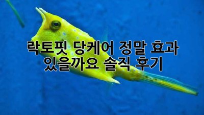 락토핏 당케어, 정말 효과 있을까요? 솔직 후기!